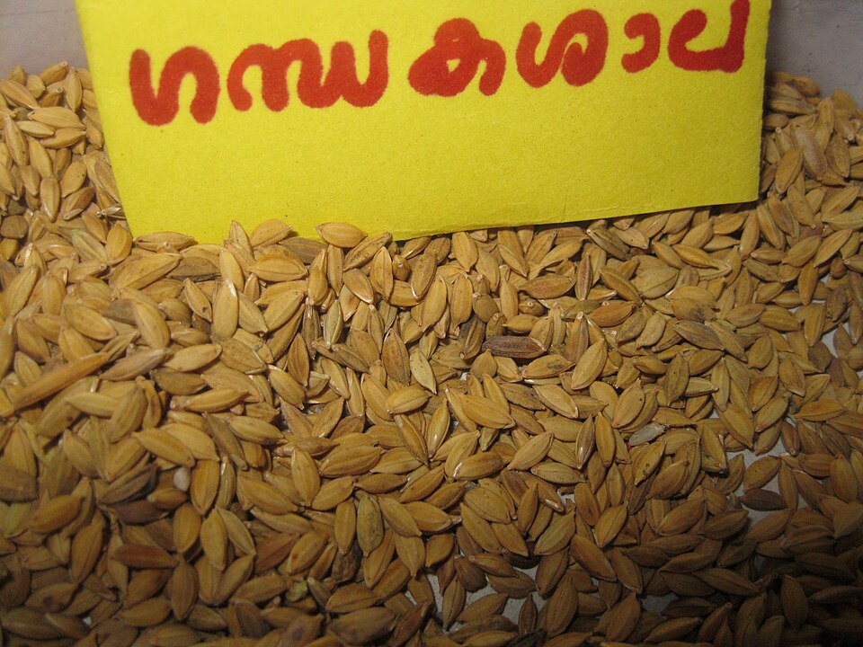 Gandhakasala